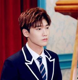 邢昭林的图片,光影交织下的青春偶像